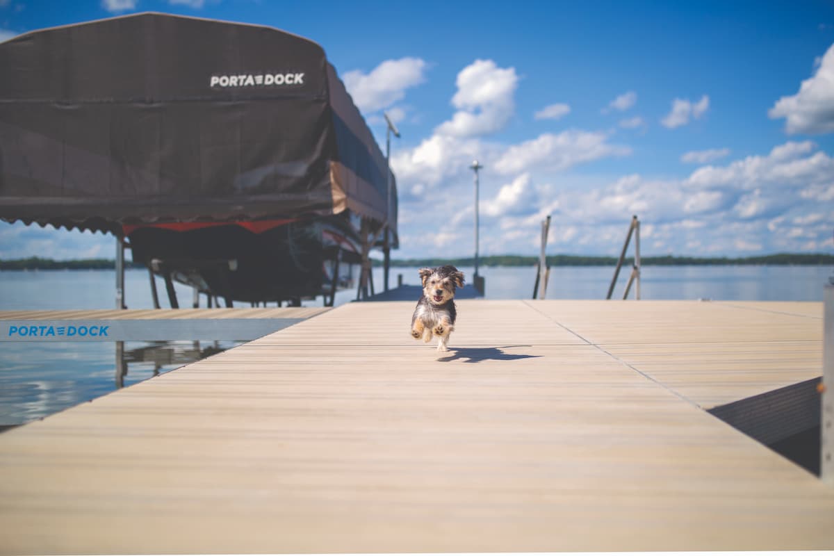 Porta-Dock dock on Minnesota lake